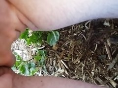 FTM Squatting Pee Outside On Plants